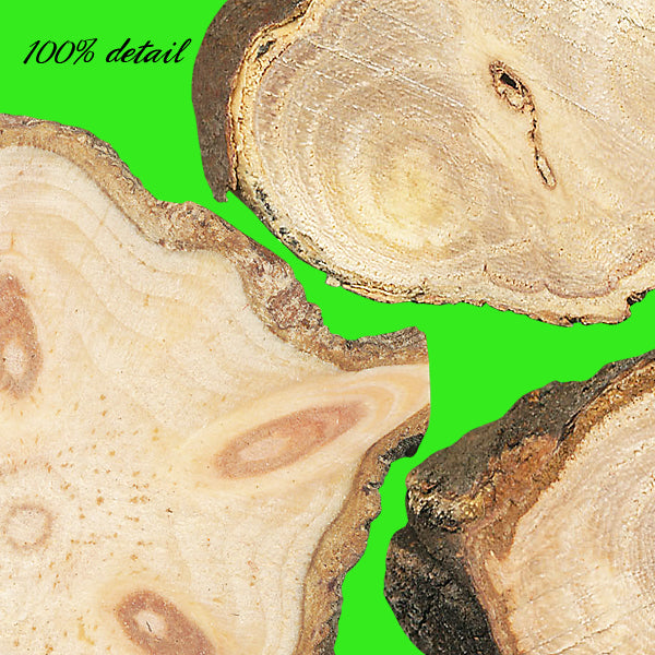 Wood Slices, Volume 03