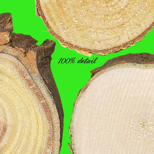 Wood Slices, Volume 02