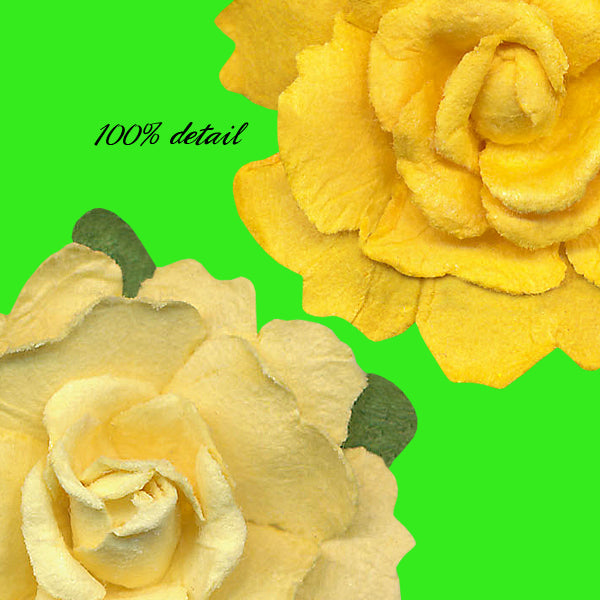 Yellow Flowers Mix