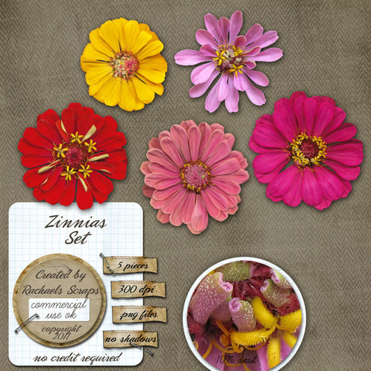 Zinnias Set