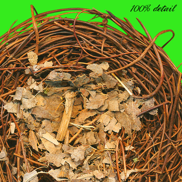 Natural Bird Nests