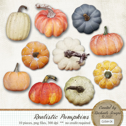 Realistic Pumpkins Set