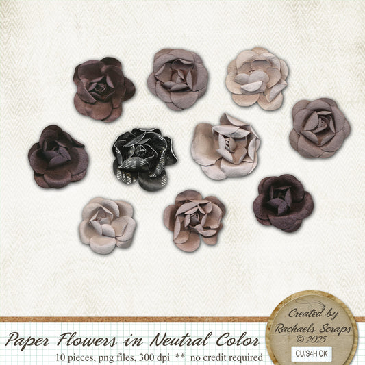 Paper Flowers in Neutral Flowers